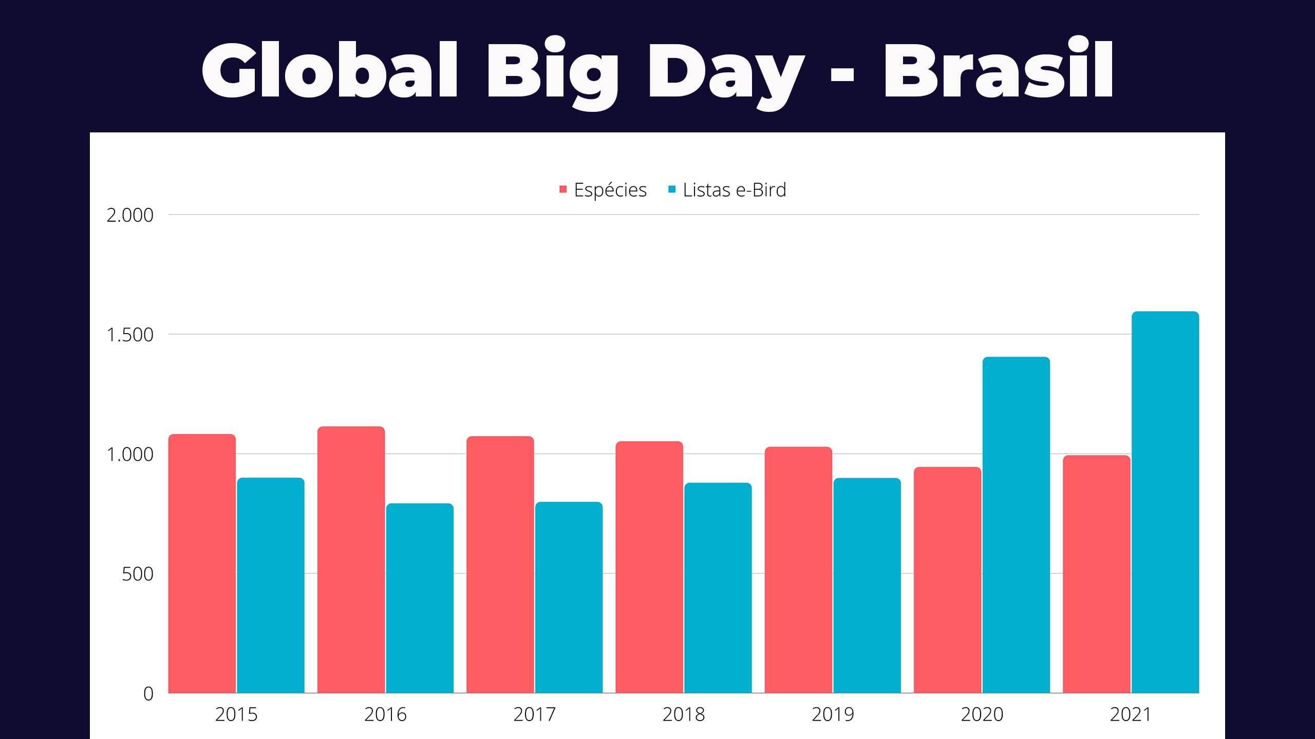 Global Big Day Blog PassarinWeb